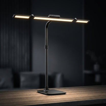 Adjustable Gooseneck LED Desk Lamp